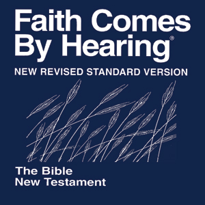 1989 New Revised Standard Audio Non-Drama New Testament
